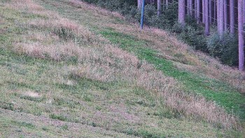 Ski areál U Sachovy studánky