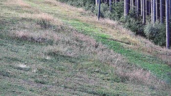 Ski areál U Sachovy studánky