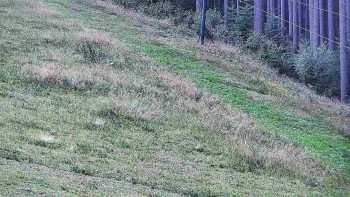 Ski areál U Sachovy studánky