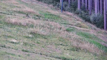 Ski areál U Sachovy studánky