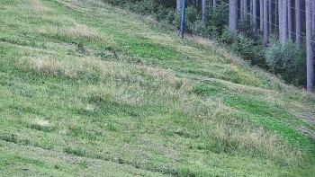 Ski areál U Sachovy studánky