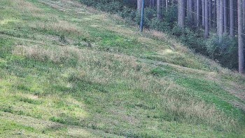 Ski areál U Sachovy studánky