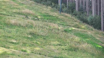 Ski areál U Sachovy studánky