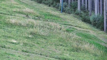 Ski areál U Sachovy studánky