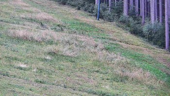 Ski areál U Sachovy studánky