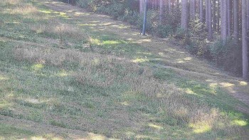 Ski areál U Sachovy studánky
