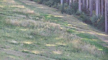 Ski areál U Sachovy studánky