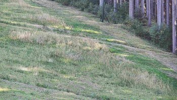Ski areál U Sachovy studánky