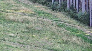 Ski areál U Sachovy studánky