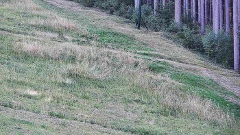 Ski areál U Sachovy studánky