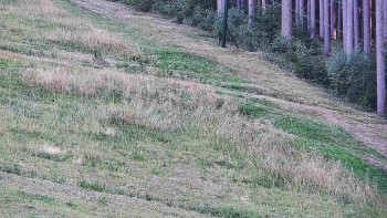 Ski areál U Sachovy studánky