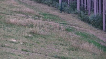 Ski areál U Sachovy studánky