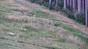 Ski areál U Sachovy studánky