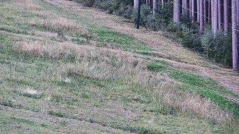 Ski areál U Sachovy studánky