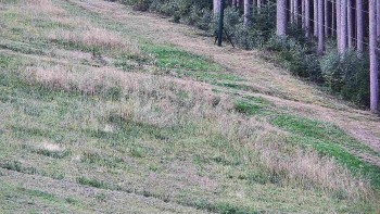Ski areál U Sachovy studánky