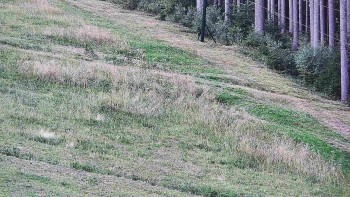 Ski areál U Sachovy studánky