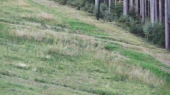 Ski areál U Sachovy studánky