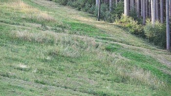 Ski areál U Sachovy studánky