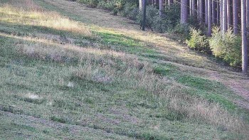 Ski areál U Sachovy studánky
