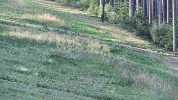Ski areál U Sachovy studánky