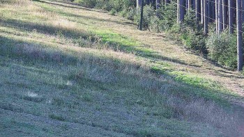 Ski areál U Sachovy studánky