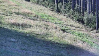 Ski areál U Sachovy studánky
