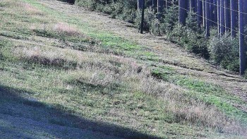 Ski areál U Sachovy studánky