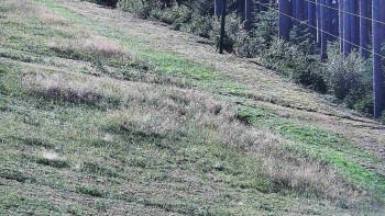Ski areál U Sachovy studánky