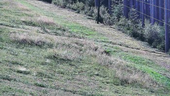 Ski areál U Sachovy studánky