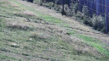Ski areál U Sachovy studánky