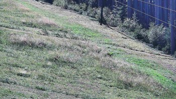 Ski areál U Sachovy studánky
