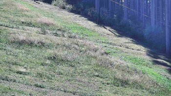Ski areál U Sachovy studánky