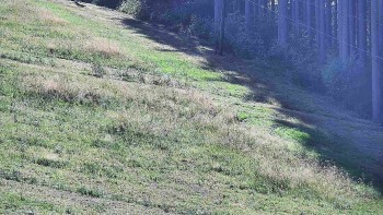 Ski areál U Sachovy studánky