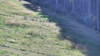 Ski areál U Sachovy studánky