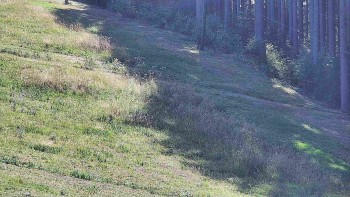 Ski areál U Sachovy studánky