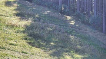 Ski areál U Sachovy studánky