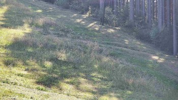 Ski areál U Sachovy studánky