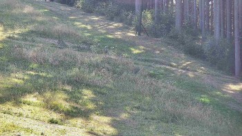 Ski areál U Sachovy studánky