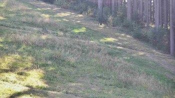 Ski areál U Sachovy studánky