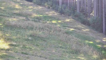 Ski areál U Sachovy studánky