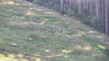 Ski areál U Sachovy studánky