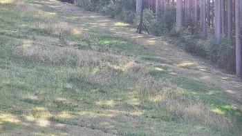 Ski areál U Sachovy studánky