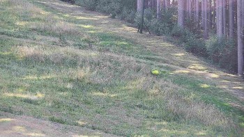 Ski areál U Sachovy studánky