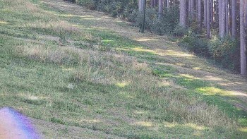 Ski areál U Sachovy studánky