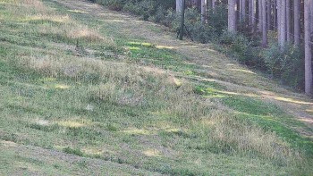 Ski areál U Sachovy studánky