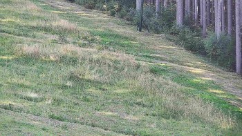 Ski areál U Sachovy studánky