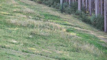 Ski areál U Sachovy studánky