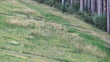 Ski areál U Sachovy studánky