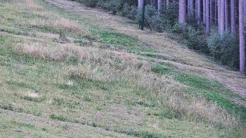Ski areál U Sachovy studánky