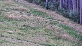 Ski areál U Sachovy studánky